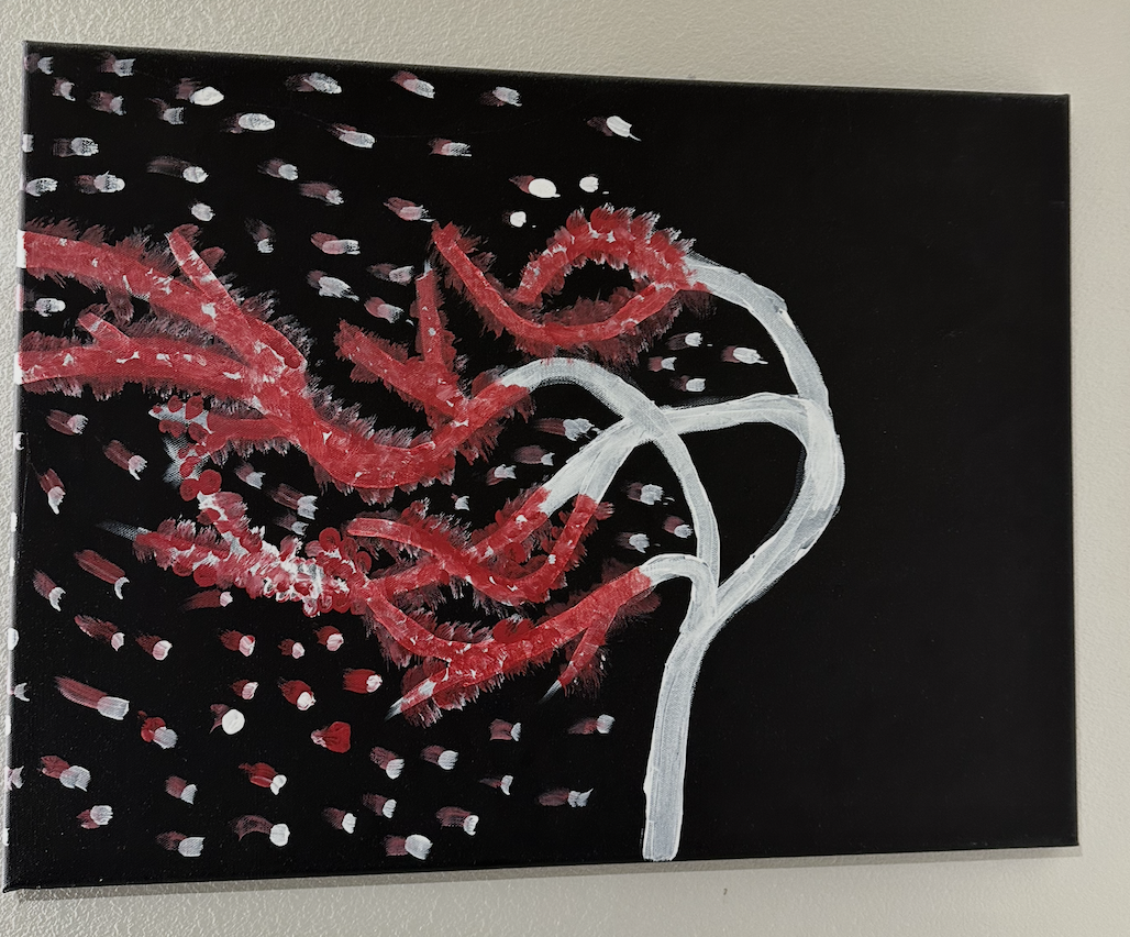 Red cardinal in flight, acrylic on black canvas